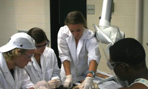 Instructor Breanna Korsman guides Anatomy and Physiology students in a dissection in upgraded labs in Reid 207.